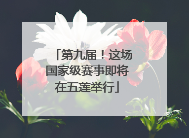 第九届！这场国家级赛事即将在五莲举行