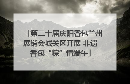 第二十届庆阳香包兰州展销会城关区开展 非遗香包“粽”情端午