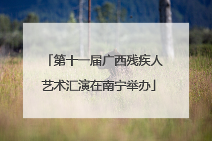 第十一届广西残疾人艺术汇演在南宁举办