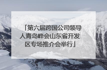 第六届跨国公司领导人青岛峰会山东省开发区专场推介会举行