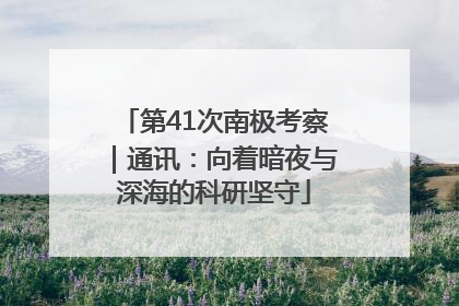 第41次南极考察｜通讯：向着暗夜与深海的科研坚守
