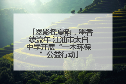 翠影摇夏韵，墨香续流年 江油市太白中学开展“一木环保”公益行动