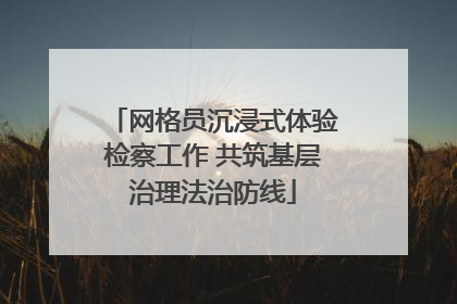 网格员沉浸式体验检察工作 共筑基层治理法治防线