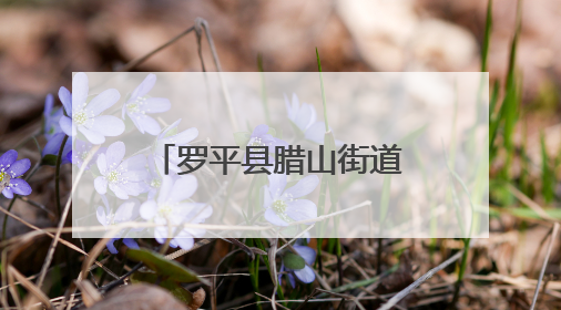 罗平县腊山街道家长夜校开展国际禁毒日宣传活动