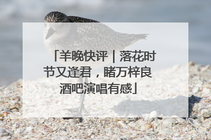 羊晚快评｜落花时节又逢君，睹万梓良酒吧演唱有感
