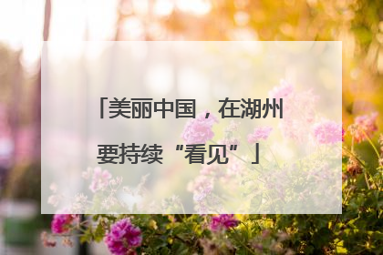 美丽中国，在湖州要持续“看见”