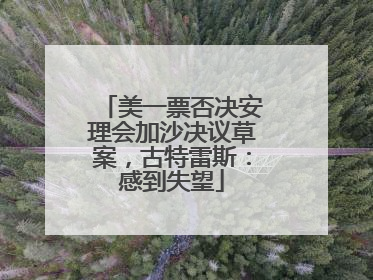 美一票否决安理会加沙决议草案，古特雷斯：感到失望