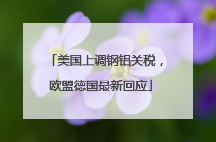 美国上调钢铝关税，欧盟德国最新回应