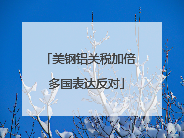 美钢铝关税加倍 多国表达反对