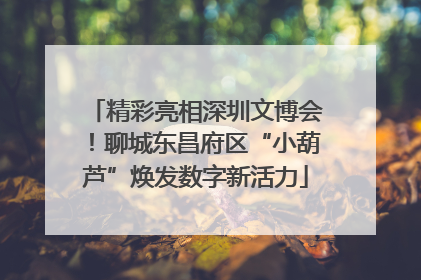 精彩亮相深圳文博会！聊城东昌府区“小葫芦”焕发数字新活力