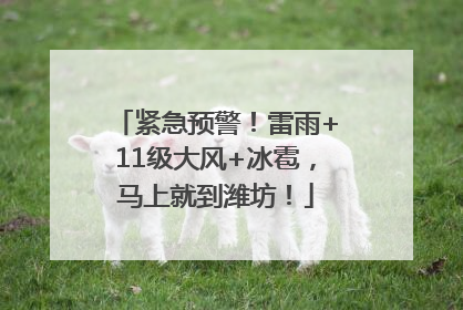 紧急预警！雷雨+11级大风+冰雹，马上就到潍坊！