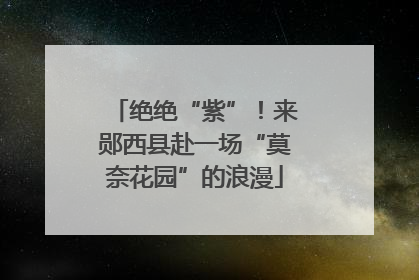 绝绝“紫”！来郧西县赴一场“莫奈花园”的浪漫