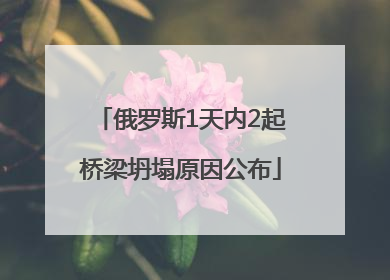 俄罗斯1天内2起桥梁坍塌原因公布