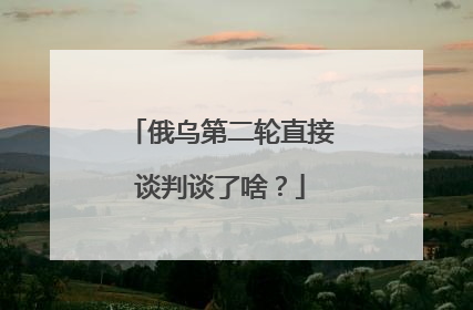 俄乌第二轮直接谈判谈了啥？