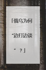 俄乌为何“边打边谈”？