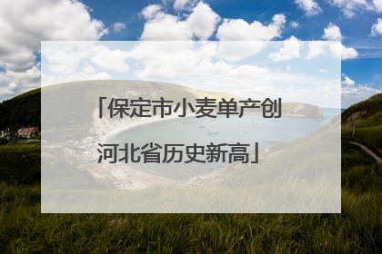 保定市小麦单产创河北省历史新高