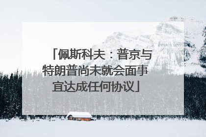 佩斯科夫：普京与特朗普尚未就会面事宜达成任何协议