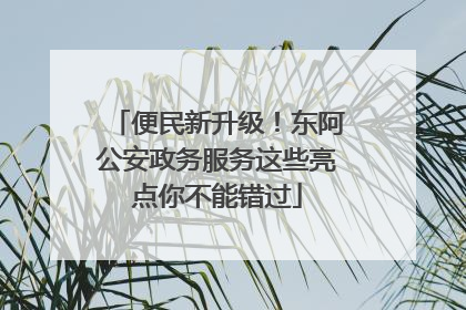 便民新升级！东阿公安政务服务这些亮点你不能错过