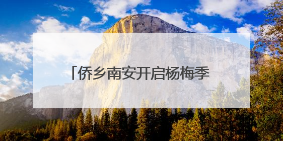 侨乡南安开启杨梅季 古老圩市变身嘉年华