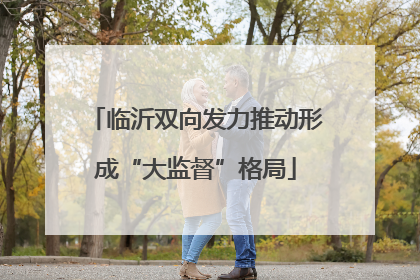 临沂双向发力推动形成“大监督”格局