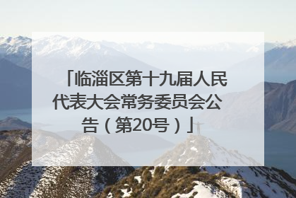 临淄区第十九届人民代表大会常务委员会公告（第20号）
