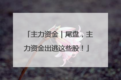 主力资金｜尾盘，主力资金出逃这些股！