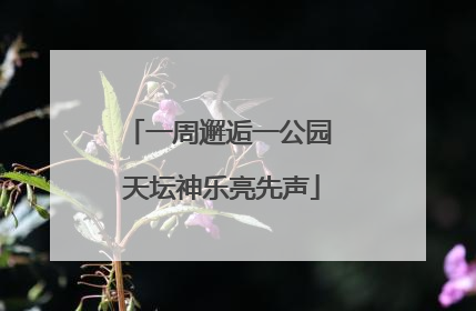 一周邂逅一公园 天坛神乐亮先声