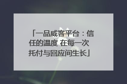 一品威客平台：信任的温度 在每一次托付与回应间生长