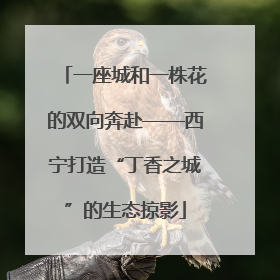 一座城和一株花的双向奔赴——西宁打造“丁香之城”的生态掠影