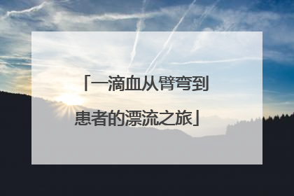 一滴血从臂弯到患者的漂流之旅