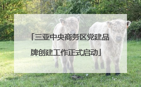 三亚中央商务区党建品牌创建工作正式启动