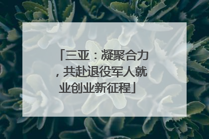 三亚：凝聚合力，共赴退役军人就业创业新征程