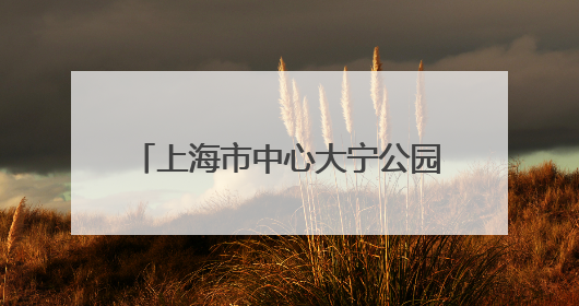 上海市中心大宁公园音乐喷泉焕新回归 “科技硬件”与“文化软件”完美融合