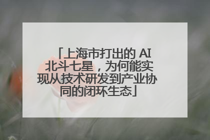 上海市打出的 AI 北斗七星，为何能实现从技术研发到产业协同的闭环生态