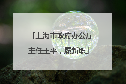 上海市政府办公厅主任王平，履新职