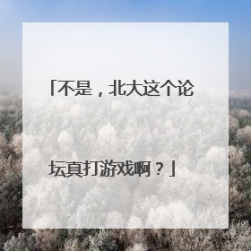 不是，北大这个论坛真打游戏啊？