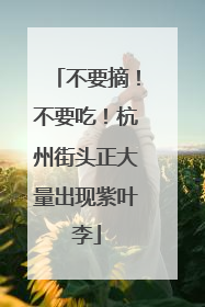 不要摘！不要吃！杭州街头正大量出现紫叶李