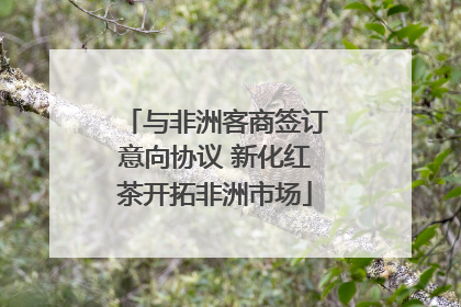 与非洲客商签订意向协议 新化红茶开拓非洲市场