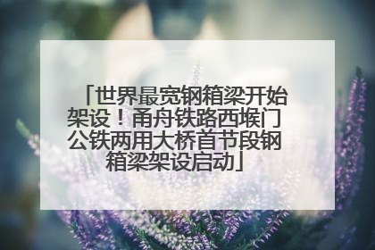 世界最宽钢箱梁开始架设！甬舟铁路西堠门公铁两用大桥首节段钢箱梁架设启动