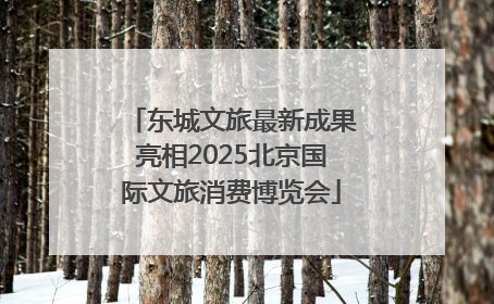 东城文旅最新成果亮相2025北京国际文旅消费博览会