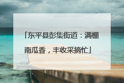 东平县彭集街道：满棚南瓜香，丰收采摘忙