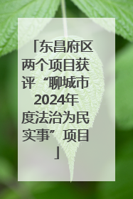 东昌府区两个项目获评“聊城市2024年度法治为民实事”项目