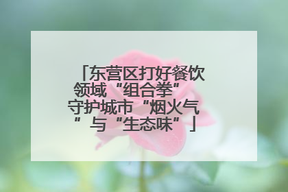 东营区打好餐饮领域“组合拳” 守护城市“烟火气”与“生态味”