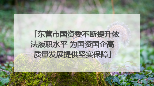 东营市国资委不断提升依法履职水平 为国资国企高质量发展提供坚实保障