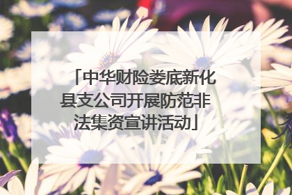 中华财险娄底新化县支公司开展防范非法集资宣讲活动