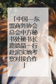 中国—东盟商务协会总会中方秘书处秘书长鹿德晶一行赴滨实地考察对接合作