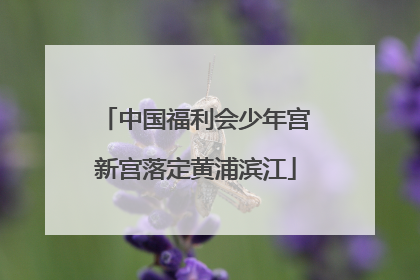 中国福利会少年宫新宫落定黄浦滨江