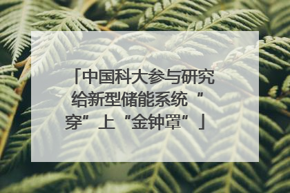 中国科大参与研究 给新型储能系统“穿”上“金钟罩”