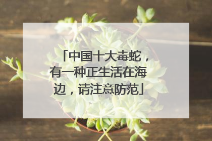 中国十大毒蛇，有一种正生活在海边，请注意防范