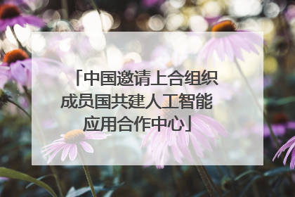 中国邀请上合组织成员国共建人工智能应用合作中心